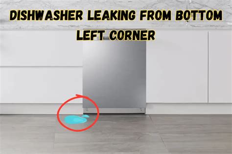 How to Find & Fix Dishwasher Leaks 